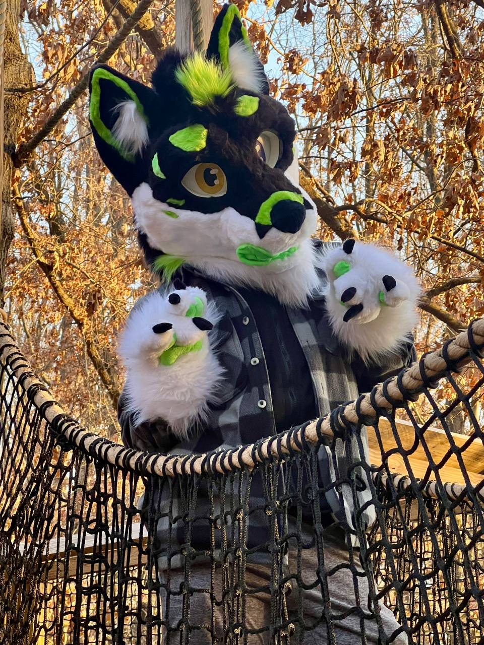 Featured Fursuit (Punky!)